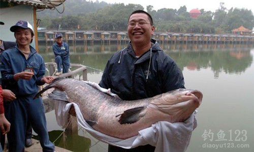 精彩高清钓鱼图片集锦一